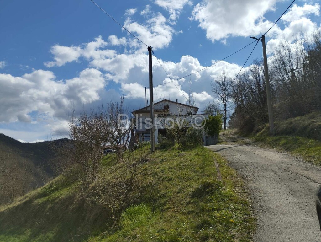 Image 6328450 - 1