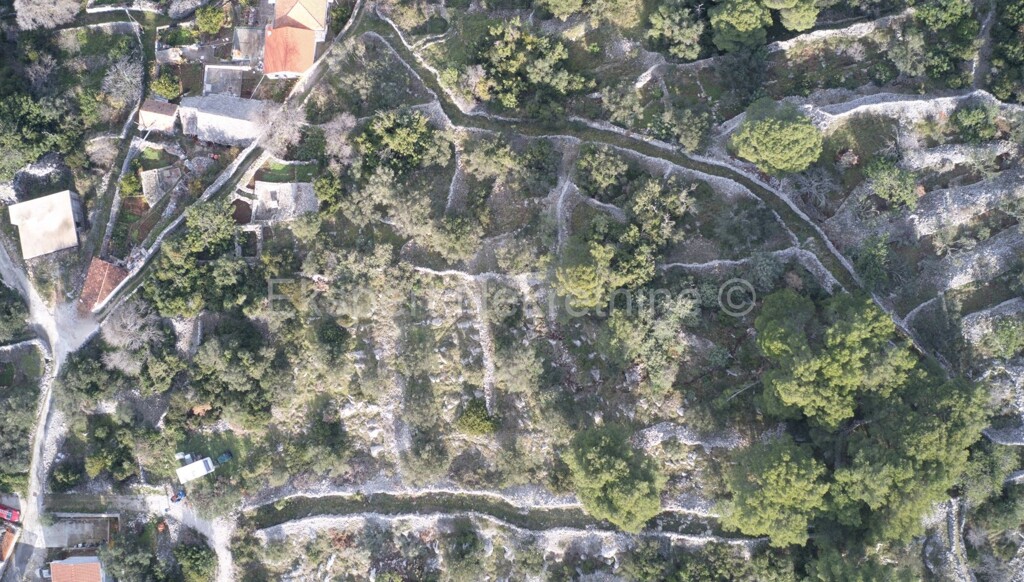 Image 6328459 - 1