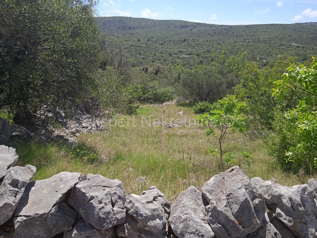Image 6328460 - 1