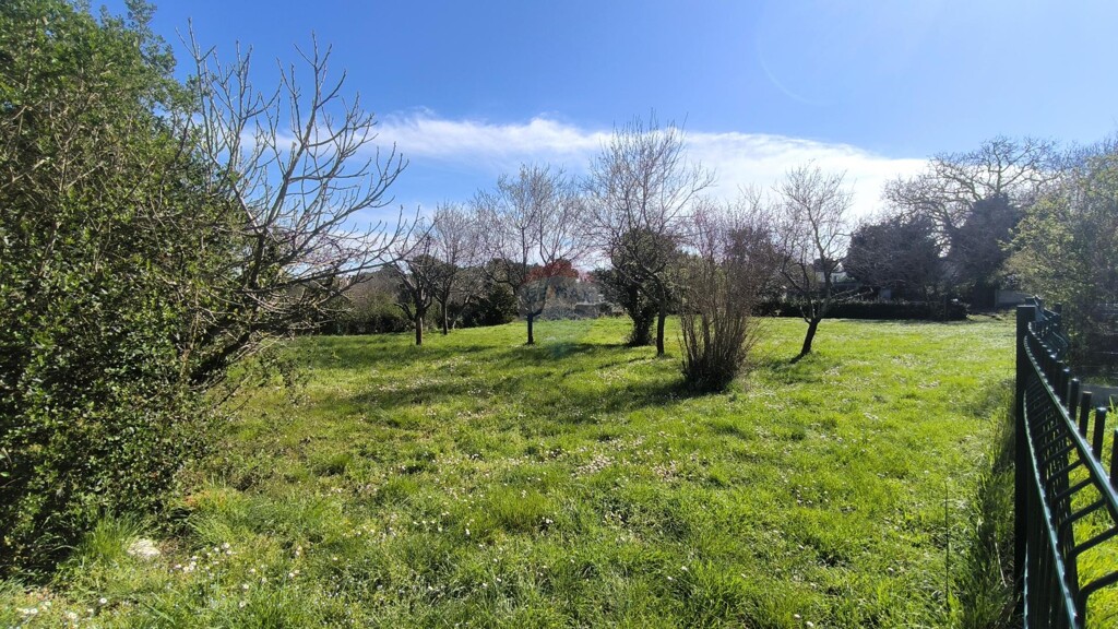 Image 6328517 - 4