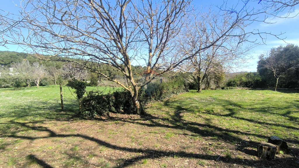 Image 6328517 - 5