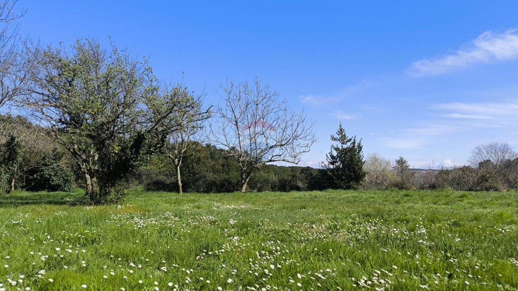 Image 6328517 - 2