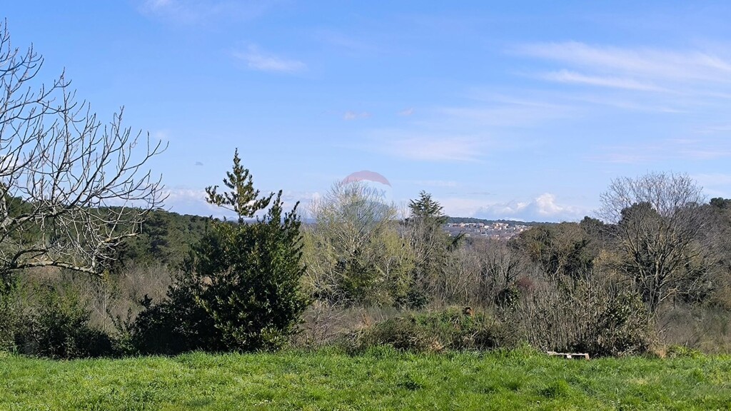 Image 6328517 - 6