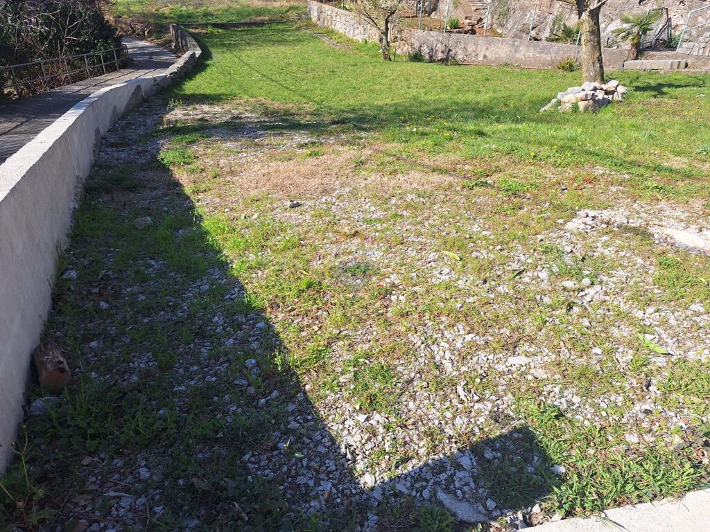 Image 6328538 - 1