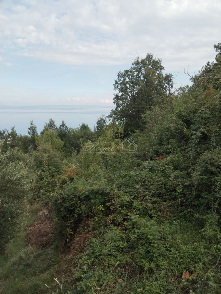 Image 6328769 - 6