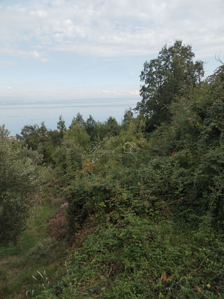 Image 6328769 - 4