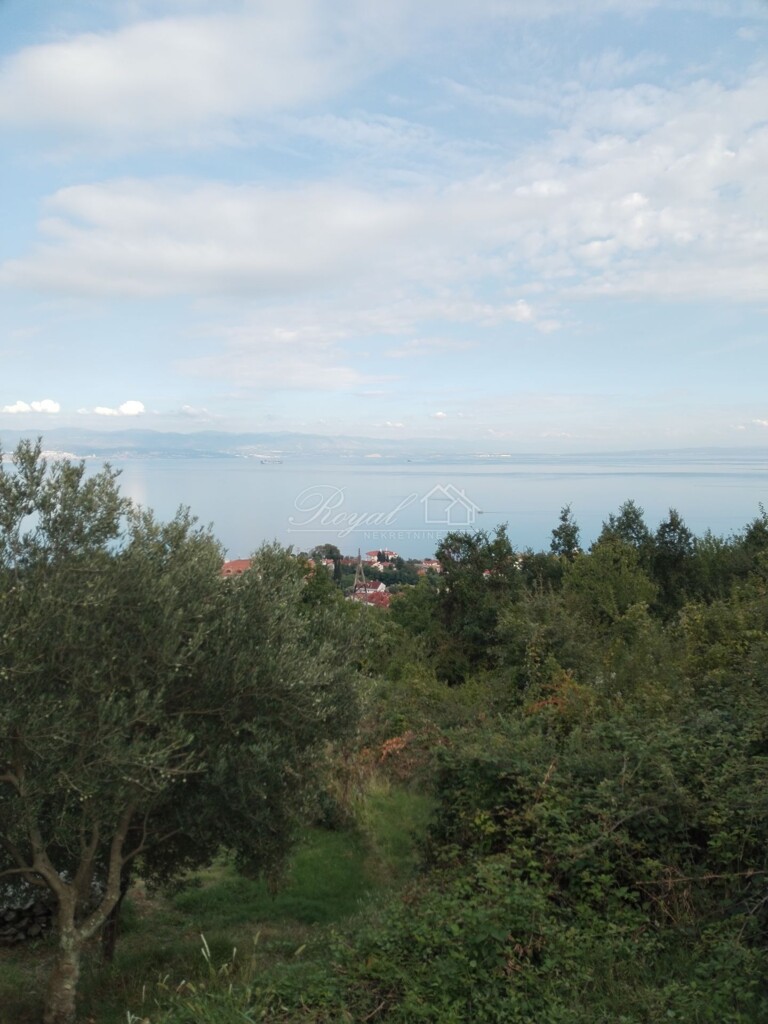 Image 6328769 - 3