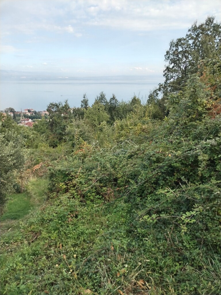 Image 6328769 - 7