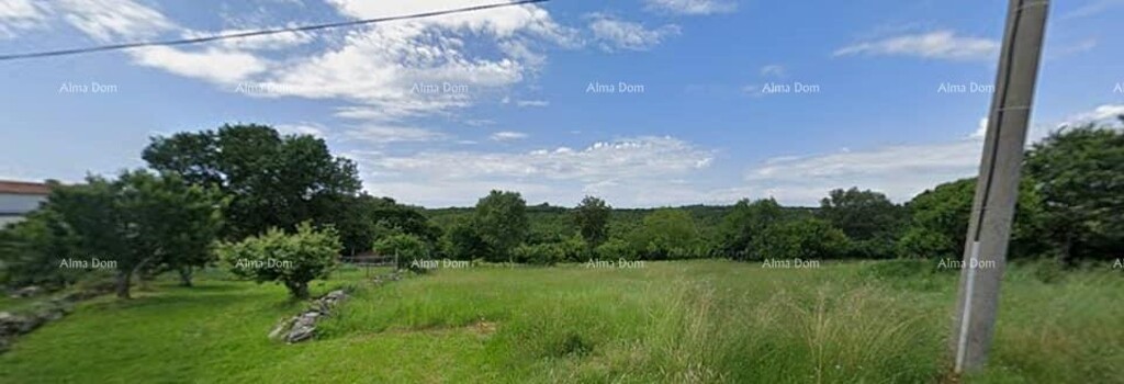 Image 6328830 - 1