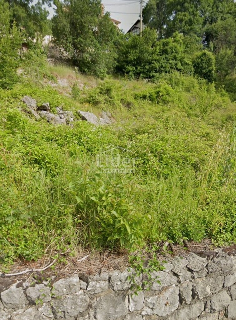 Image 6329122 - 3