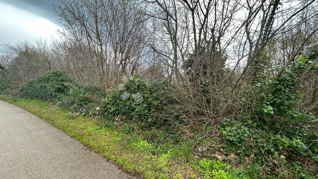 Image 6329142 - 4