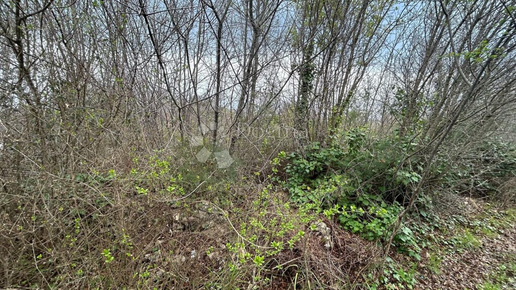 Image 6329142 - 3