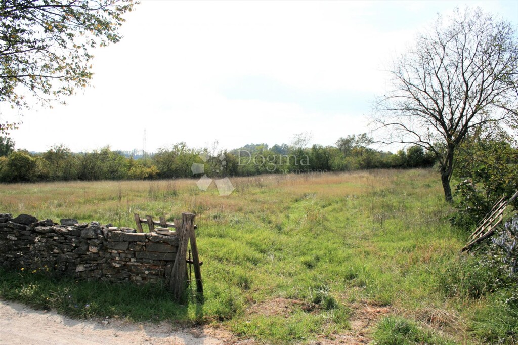 Image 6329152 - 3