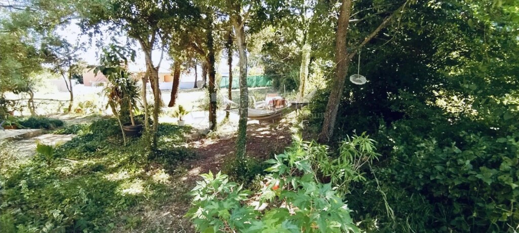 Image 6329160 - 23