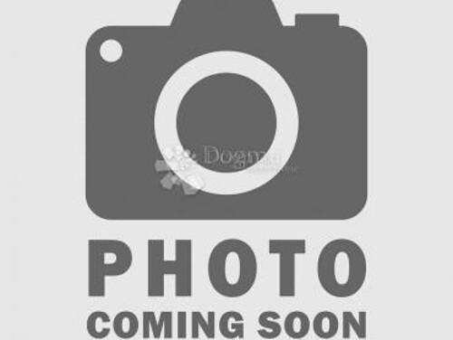 Thumbnail 6329169 - 1