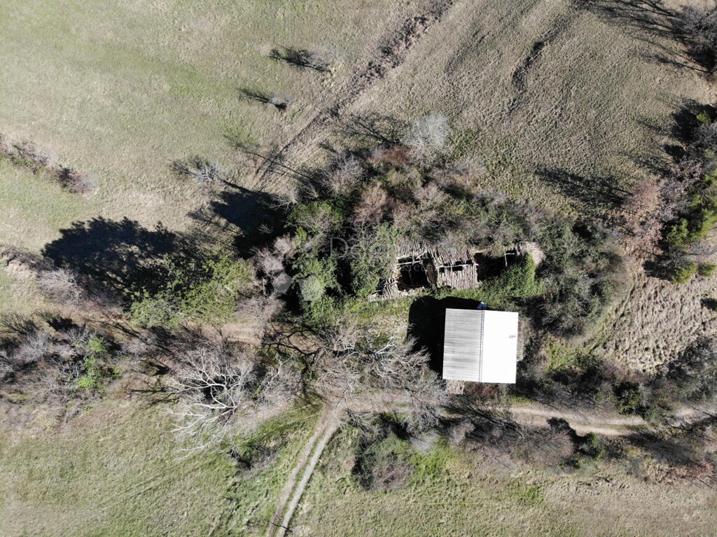 Image 6329171 - 2