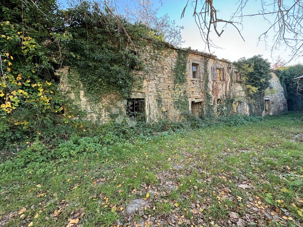 Image 6329171 - 11