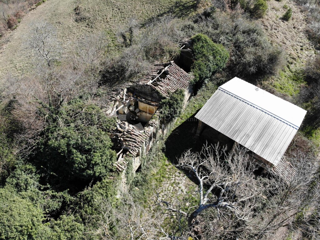 Image 6329171 - 3