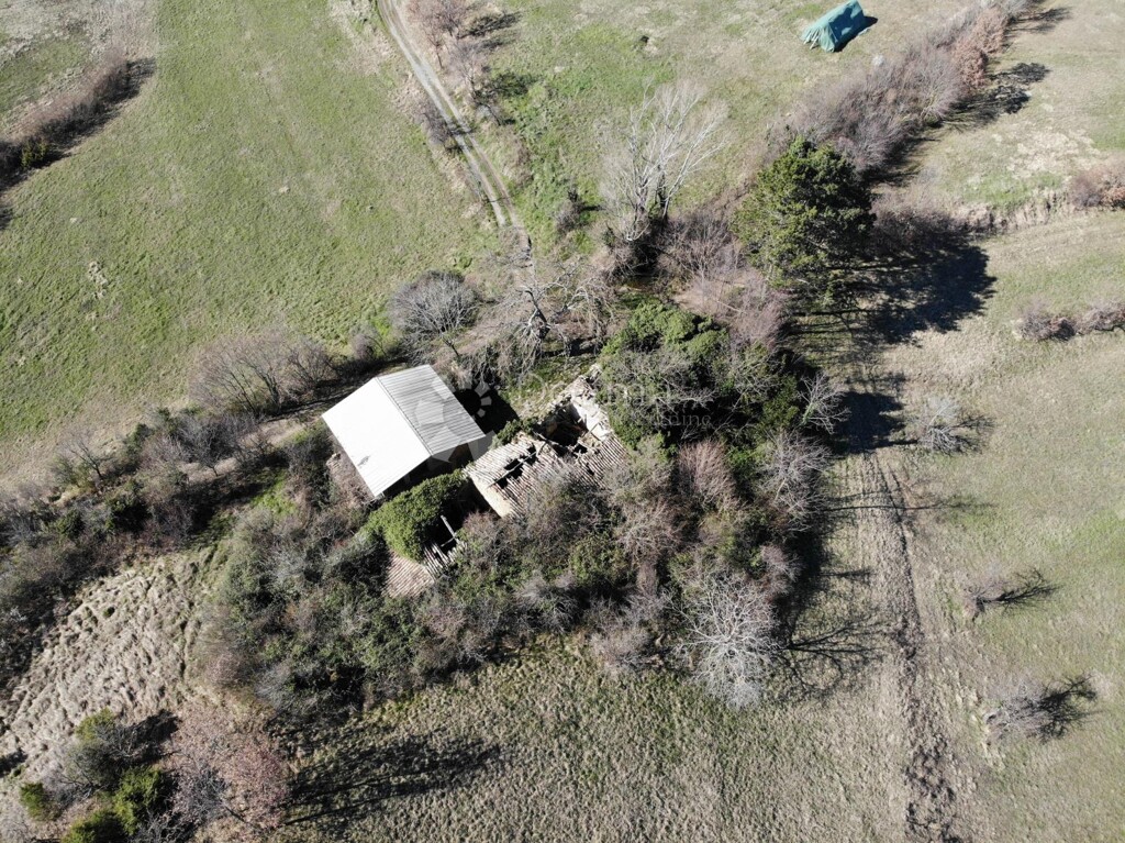 Image 6329171 - 7