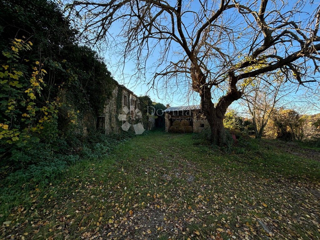 Image 6329171 - 17