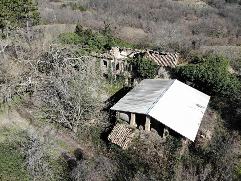 Image 6329171 - 5