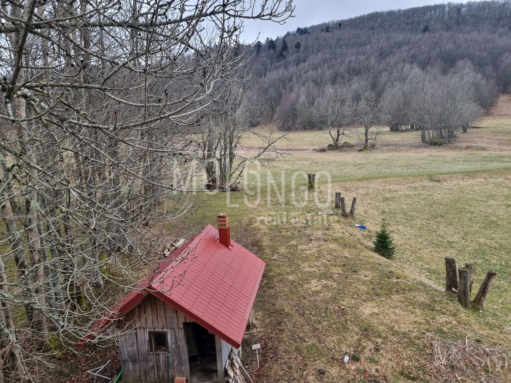 Image 6329219 - 4
