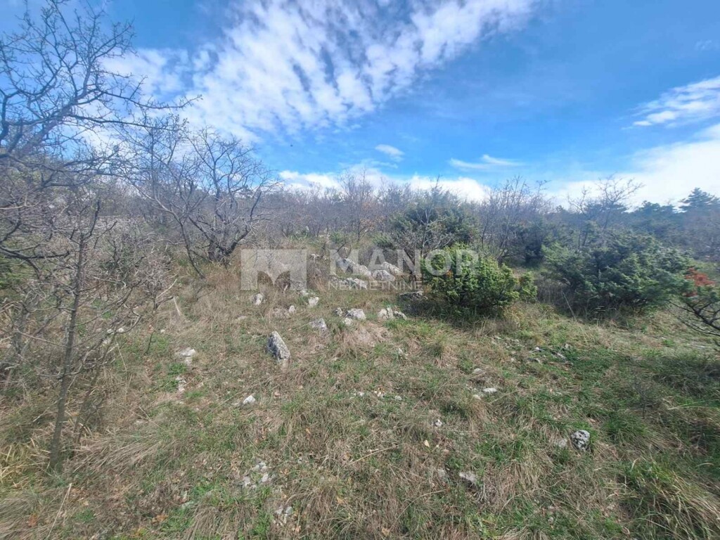 Image 6329239 - 2