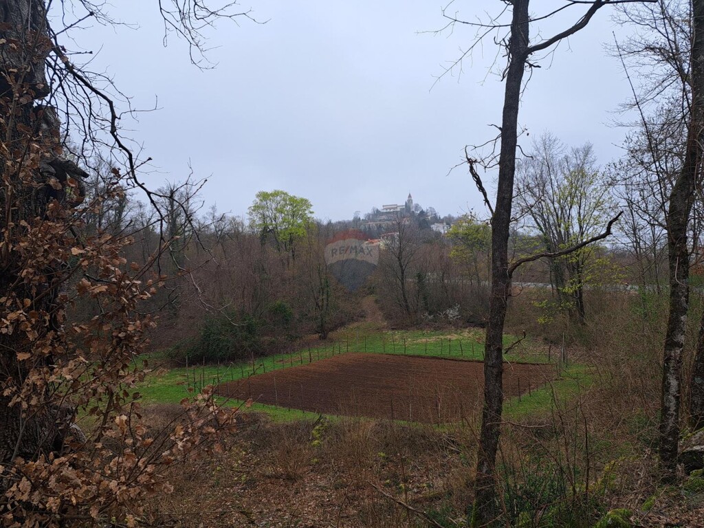 Image 6329568 - 1