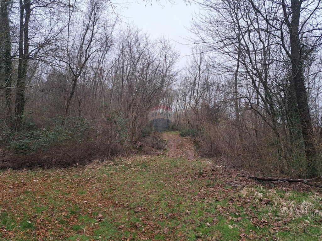 Image 6329568 - 6