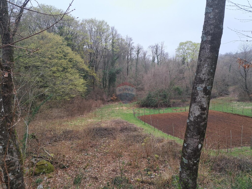 Image 6329568 - 2