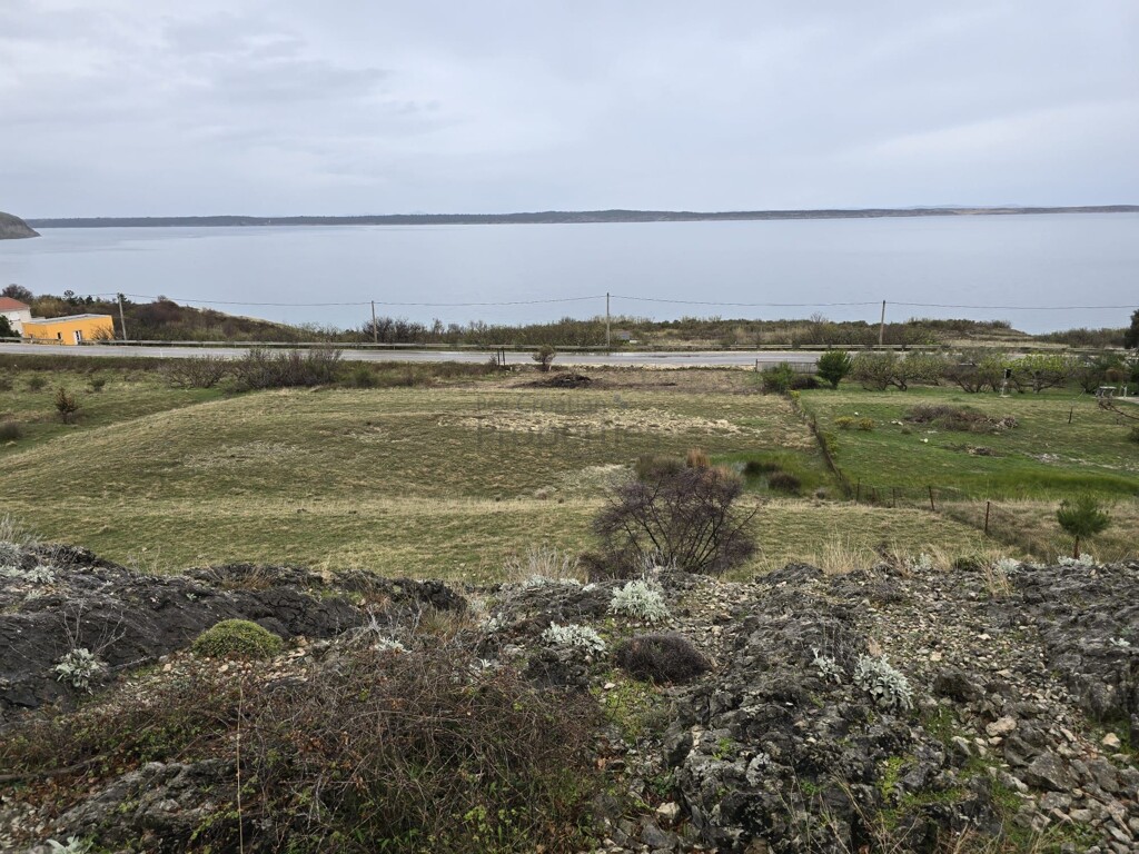 Image 6329812 - 1