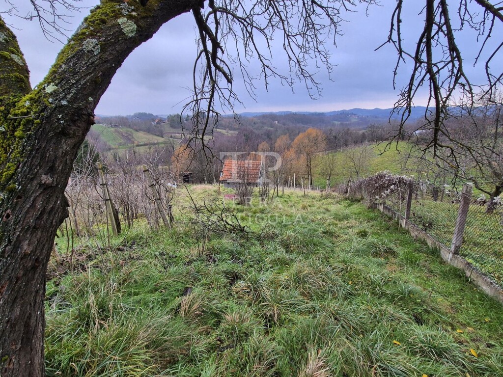 Image 6330210 - 15