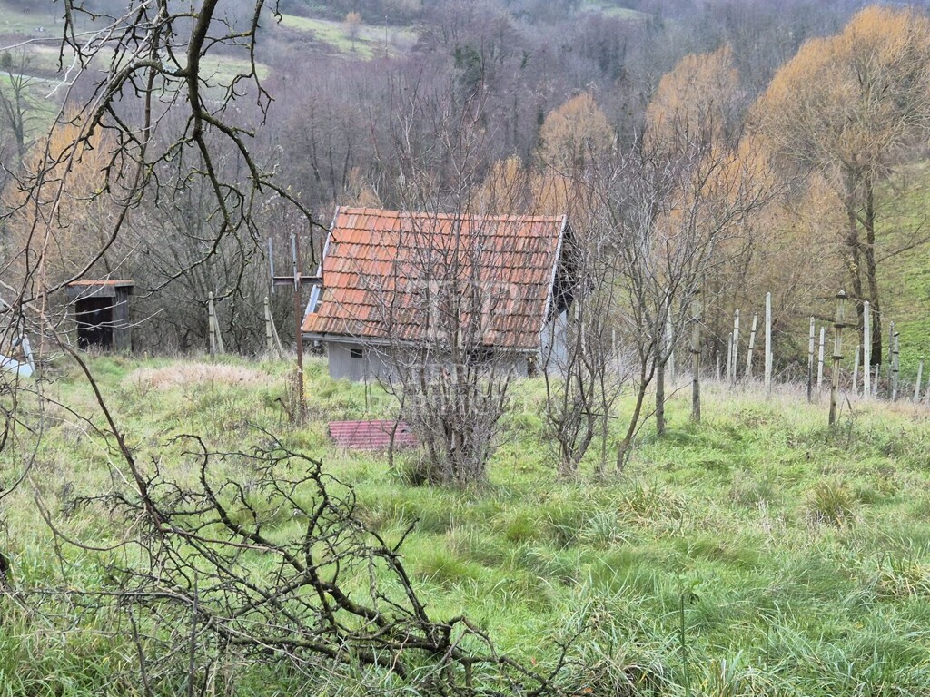 Image 6330210 - 16