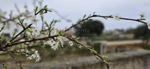 Thumbnail 6330216 - 1
