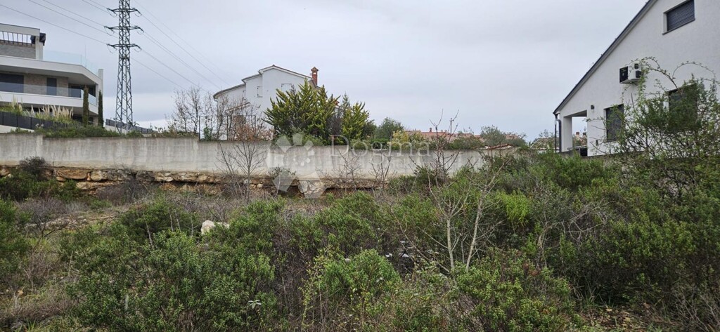Image 6330216 - 5