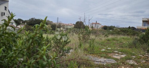 Thumbnail 6330217 - 7