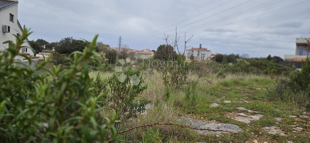 Image 6330217 - 7