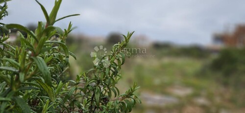 Thumbnail 6330217 - 6