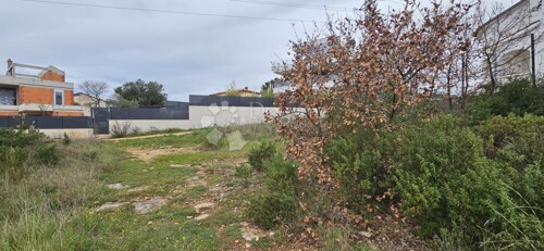Thumbnail 6330217 - 1
