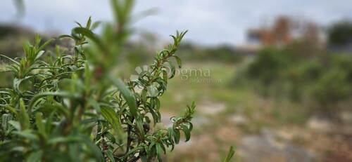 Thumbnail 6330217 - 5