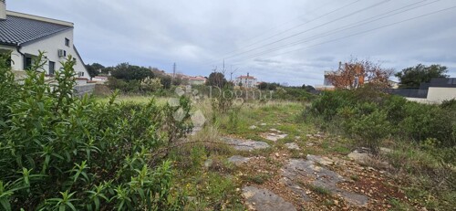 Thumbnail 6330217 - 4