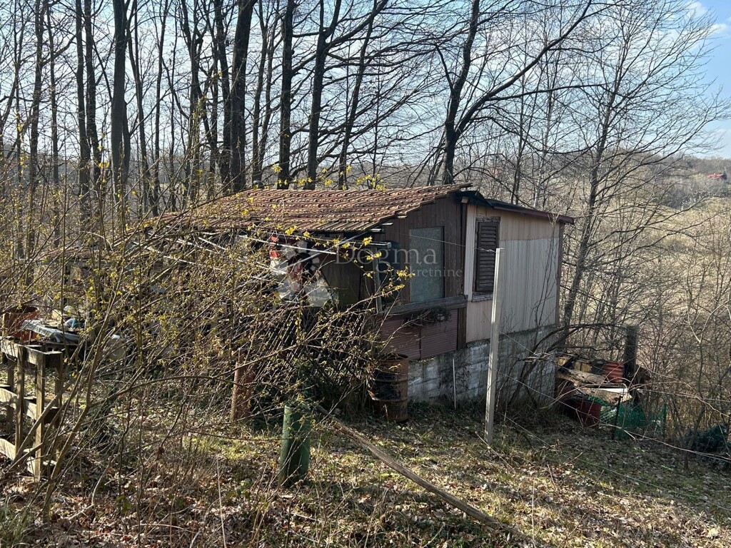 Image 6330219 - 3