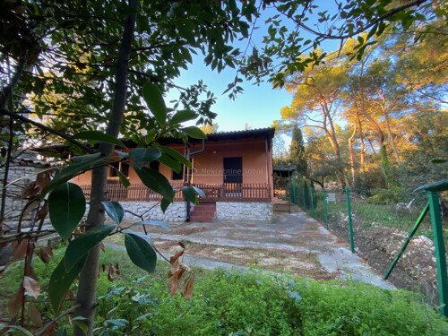 Thumbnail 6330232 - 6