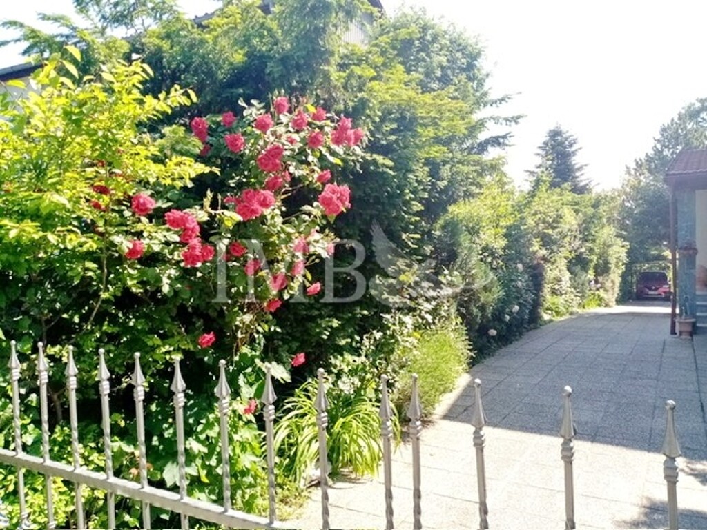 Image 6330258 - 10