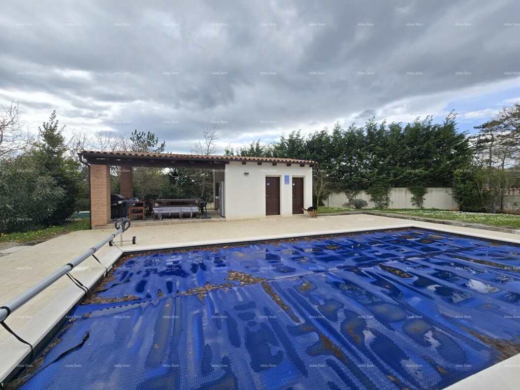 Image 6330274 - 2