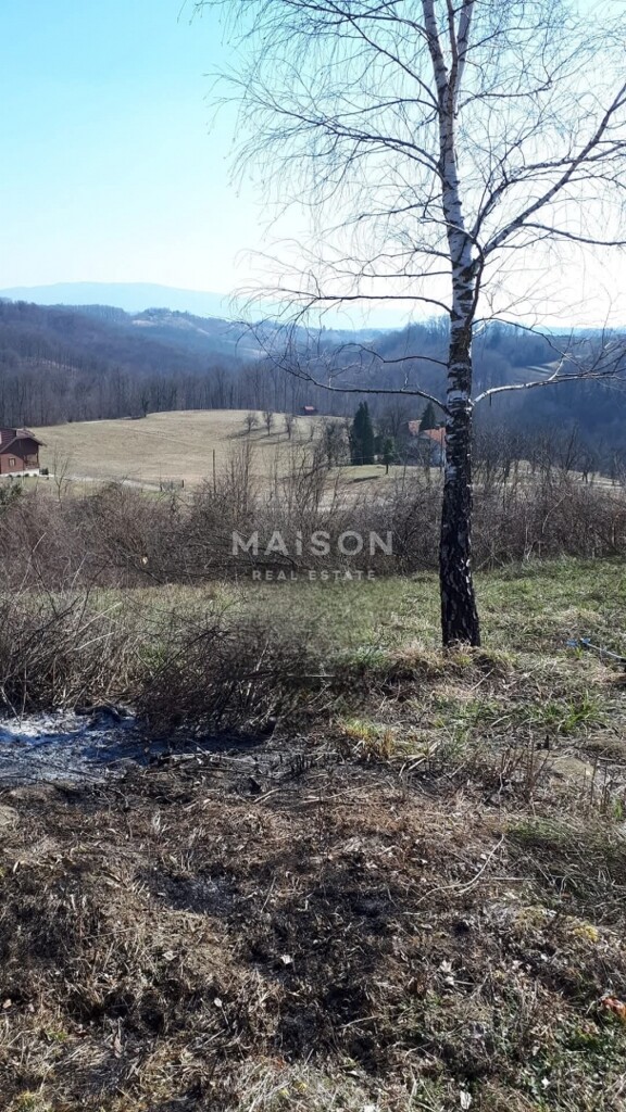 Image 6330297 - 3