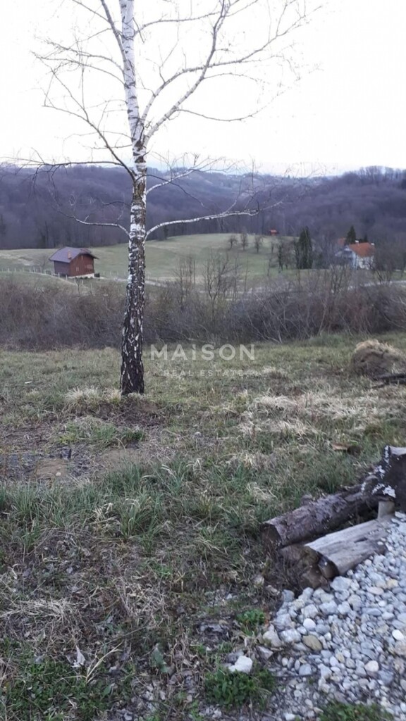 Image 6330297 - 6