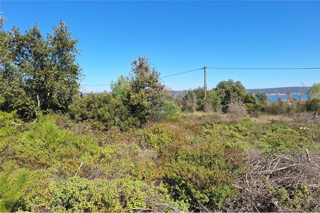 Image 6330309 - 4