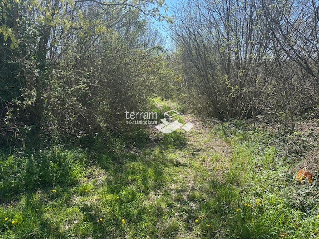Image 6330368 - 2
