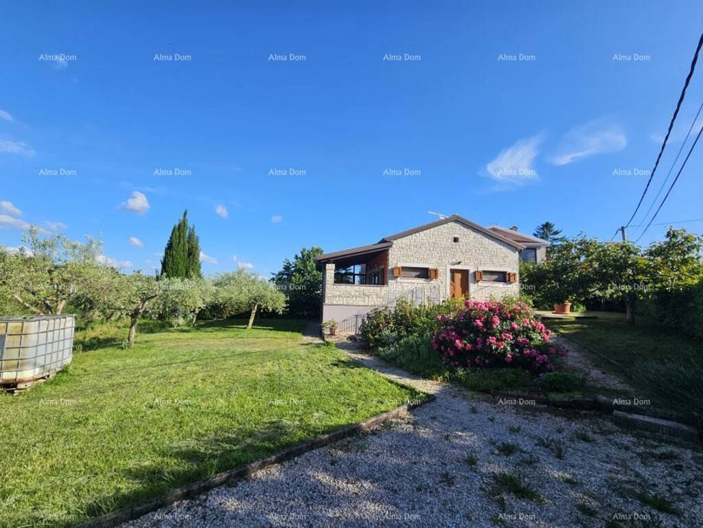 Image 6330597 - 1